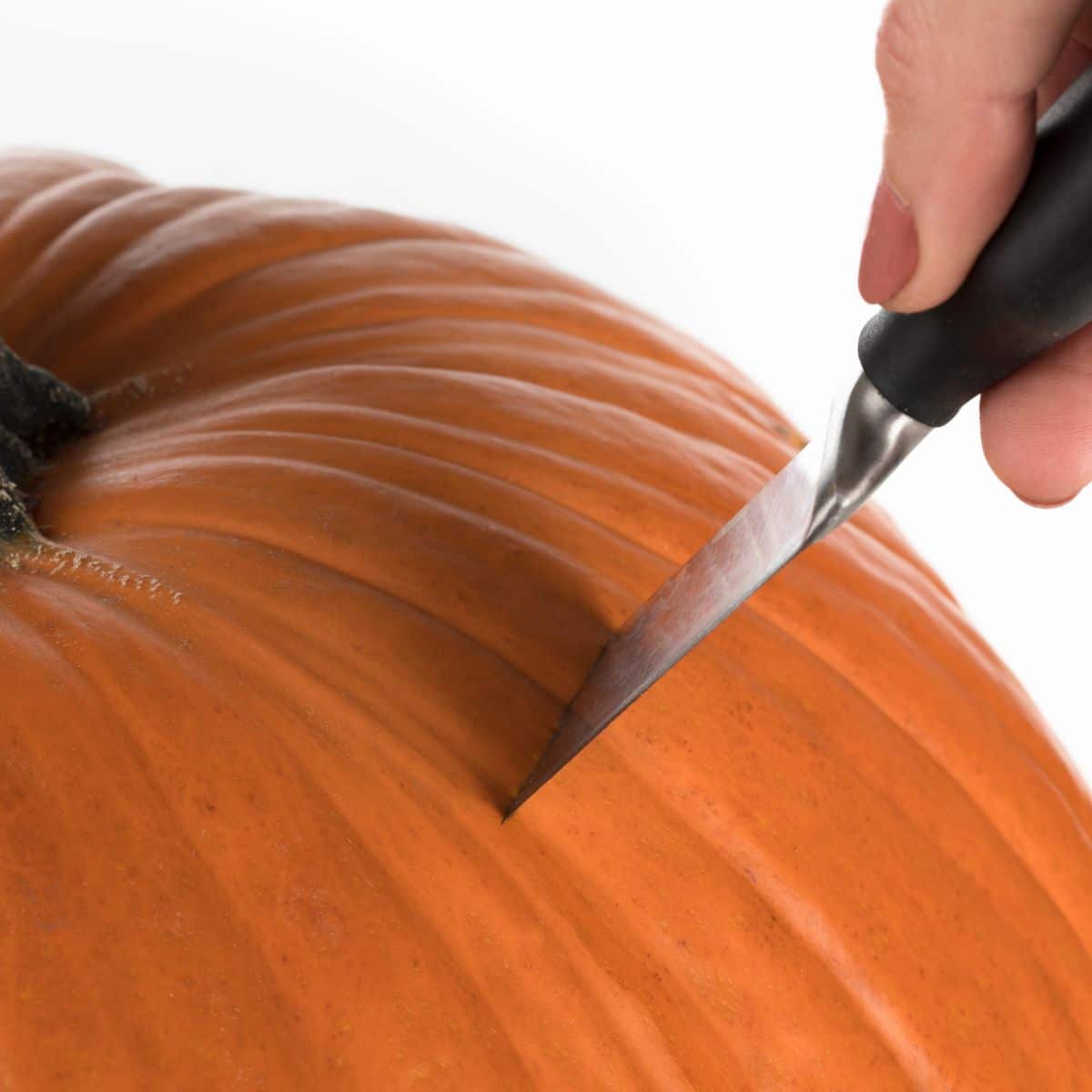 cutting top of pumpkin cutting top of pumpkin