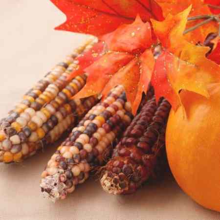 Corn represents the fall season when Thanksgiving party games are played.