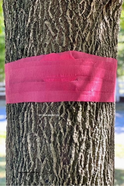 Halloween games Tree wrapped with red streamers and underneath hidden vampire lips.