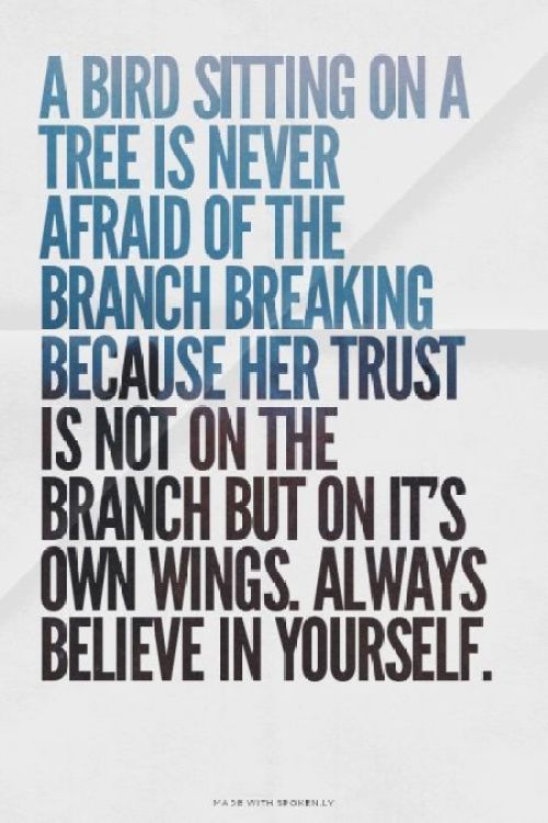 Bloggers Quotes Inspirational