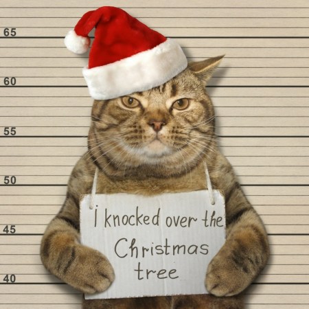Cat Christmas Hacks | How To Keep Them out of a Christmas Tree #Christmastree #pets #cathacks #catlovers