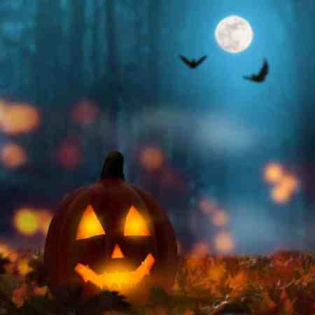 animated halloween decor ideas for indoor our outdoor decor