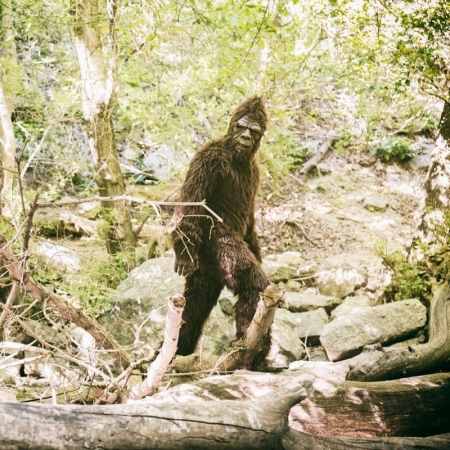 Bigfoot hashtags to use for finding Bigfoot and the Sasquatch.