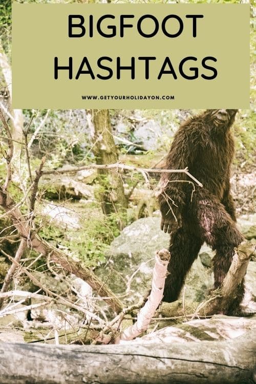 Bigfoot hashtags for finding Bigfoot and the Sasquatch himself.