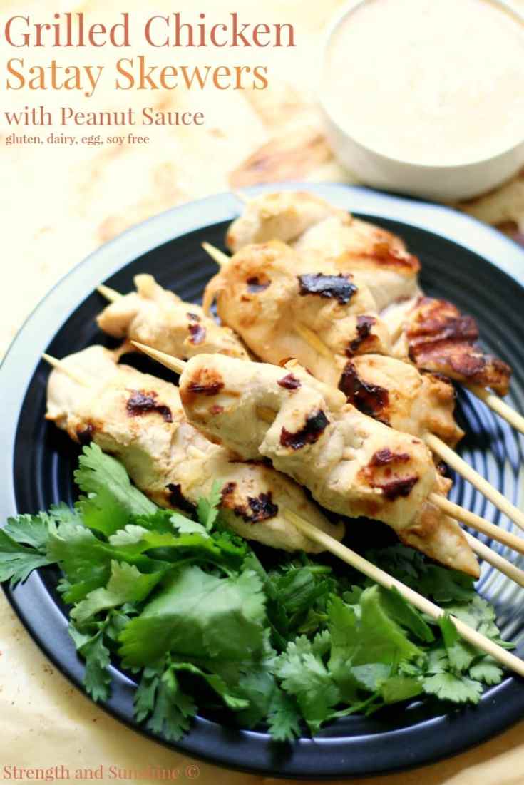 Image for Grilled Chicken Satay Skewers with Peanut Sauce