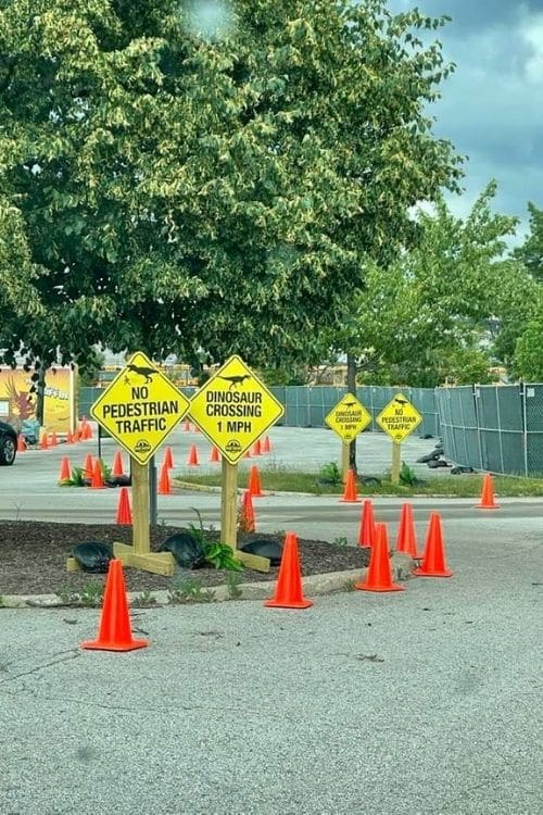 dino crossing area.