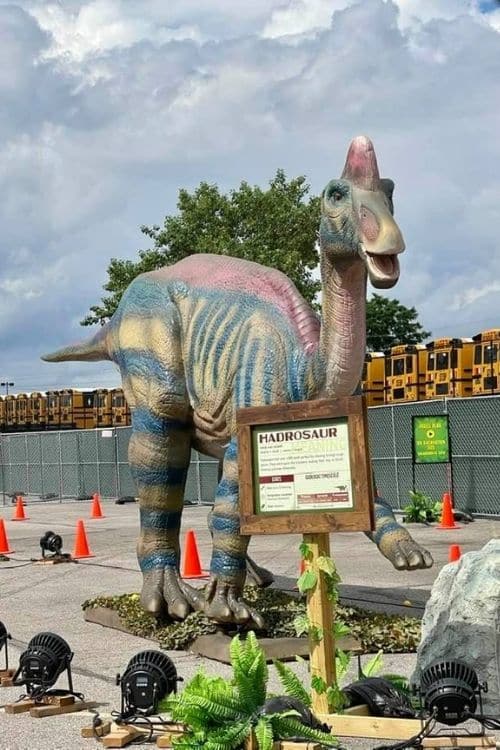 The entire Dino Safari experience is great for kids that love dinosaurs.