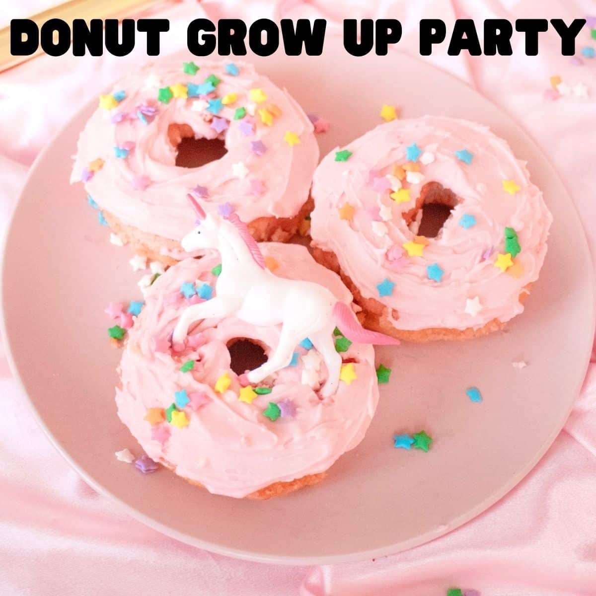 Donut Grow Up Party Donut Grow Up Party