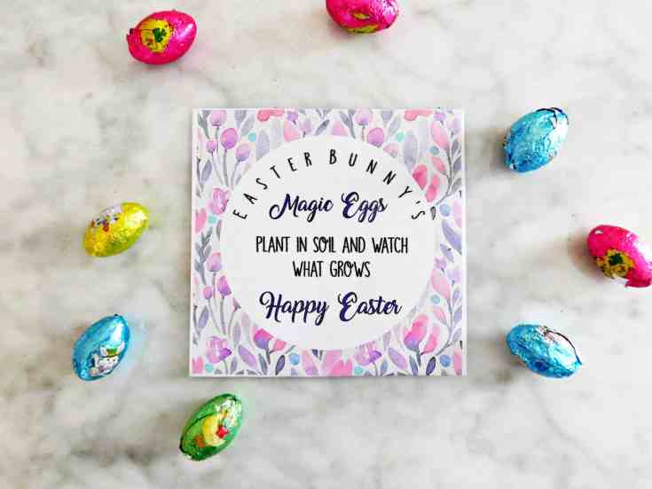 Image for Easter Bunny’s Magic Eggs: DIY Easter Basket