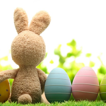 Easter Bunny April Fools 800