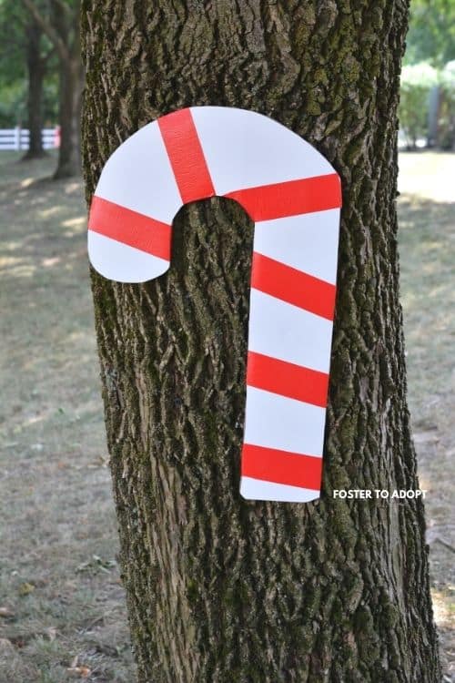 giant candy cane on tree hidden for the cane hunt.