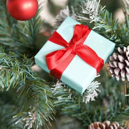 Best gifts for Adults! #gifts #presents #santa #Christmas