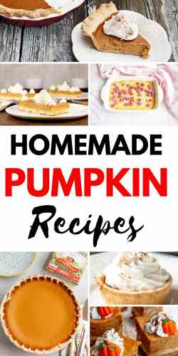 Get your Thanksgiving on with these homemade pumpkin pie recipes! #pumpkin #pumpkinpie #pumpkinspice #foodie