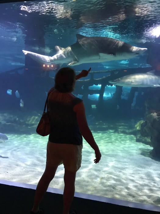 Cleveland Aquarium review