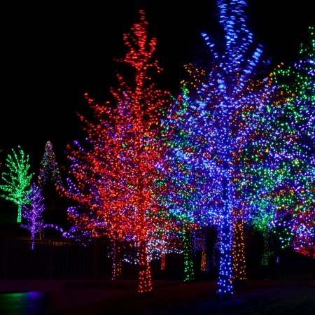 Magic of Lights Review | A Heart Warming Experience