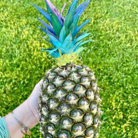real pineapple painting