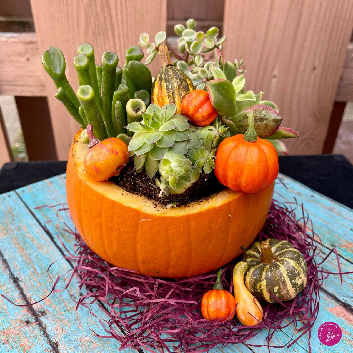 pumpkin succulent arrangement pumpkin succulent arrangement