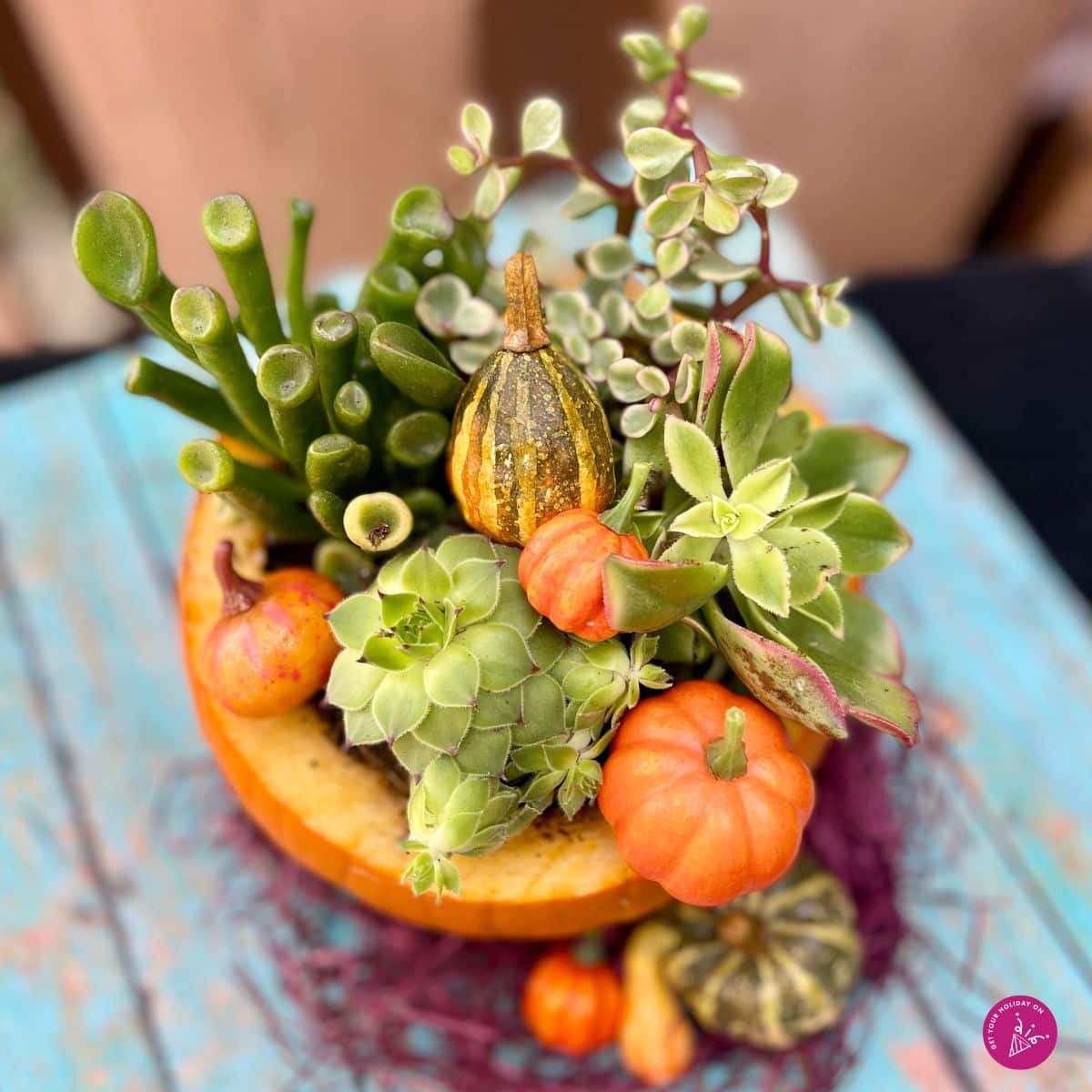 fall succulents fall decor with succulents