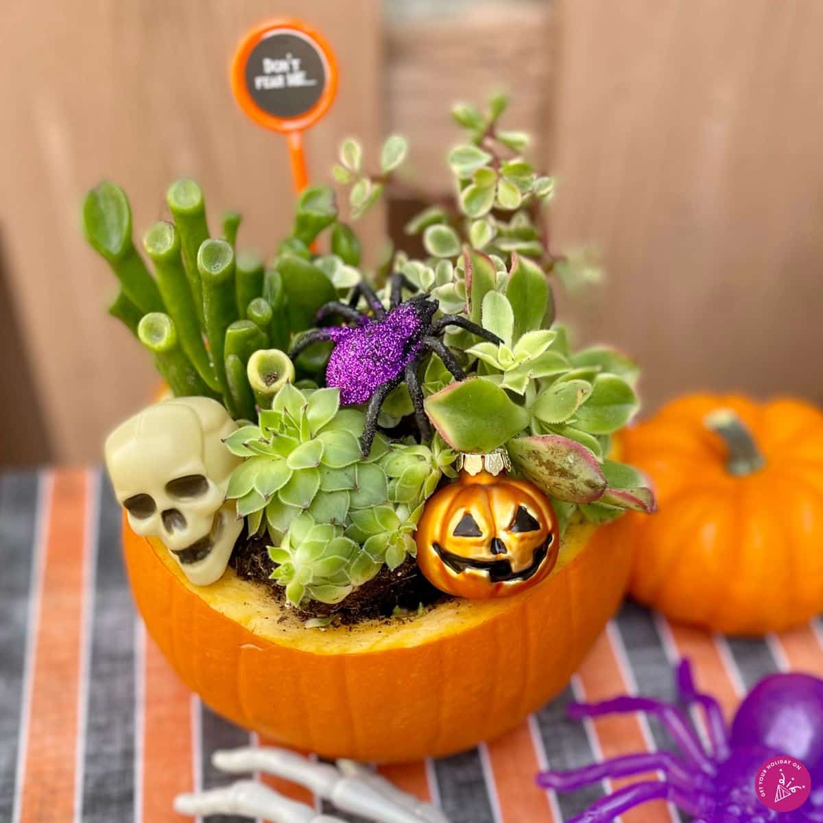 arrangements for fall Fall arrangement