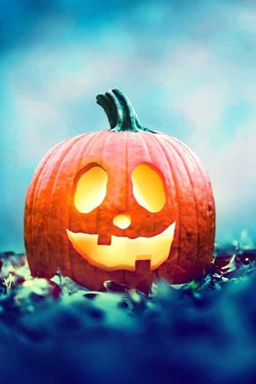 Pumpkin Spice and Everything nice ideas!