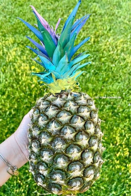 how to paint a pineapple.