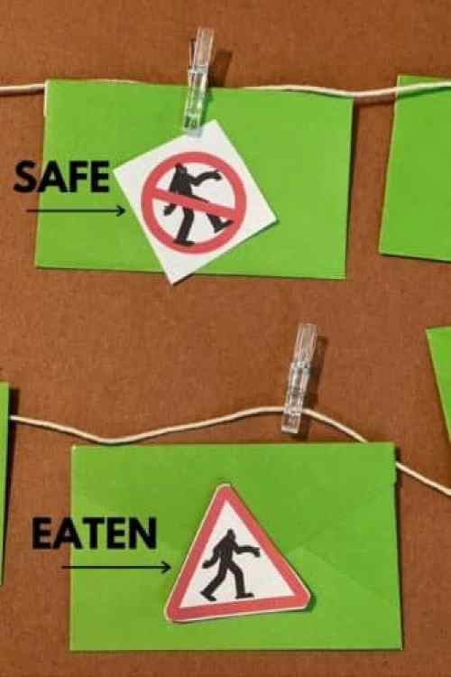 DIY Game pieces Bigfoot game pieces if you find a circle with a line with bigfoot in it you are safe. If you find a bigfoot inside of a triangle you will have been eaten.