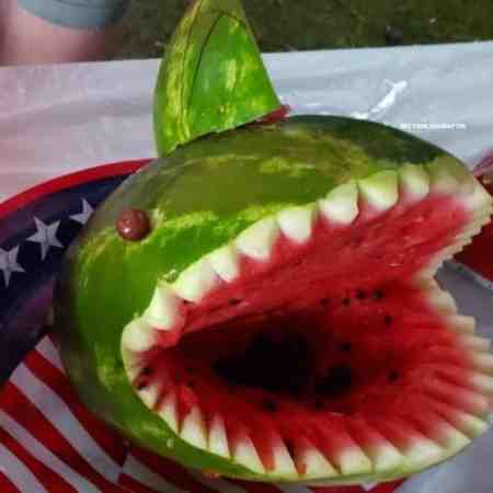 watermelon shark carving ideas.