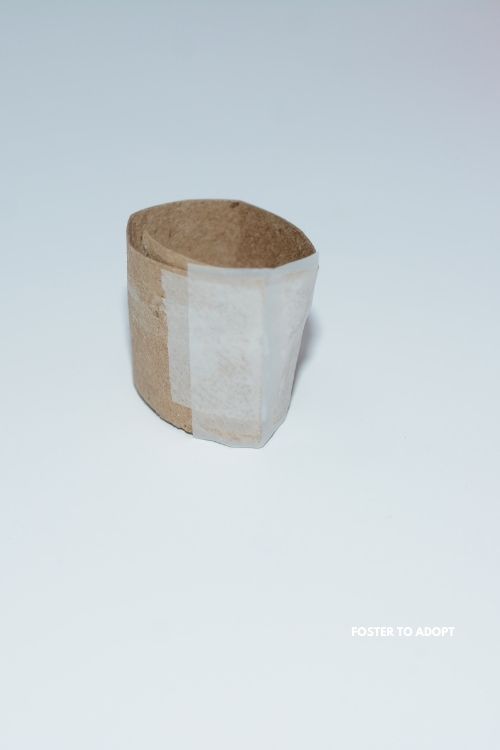 A one inch toilet paper roll for an elf.