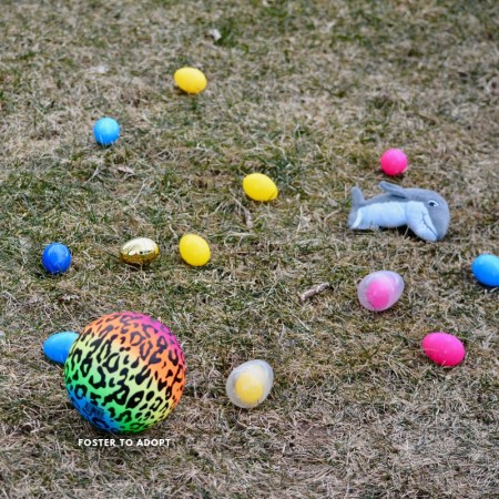 What to put in Easter eggs for kids or adults!
