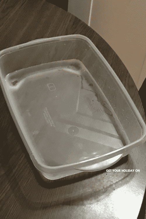 empty plastic container.