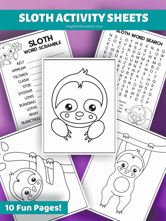 Sloth activity sheets for family and student fun.